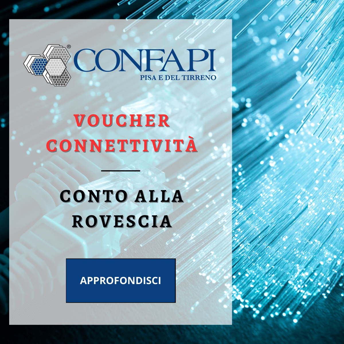 VOUCHER CONNETTIVITA' Confapi Pisa e del Tirreno