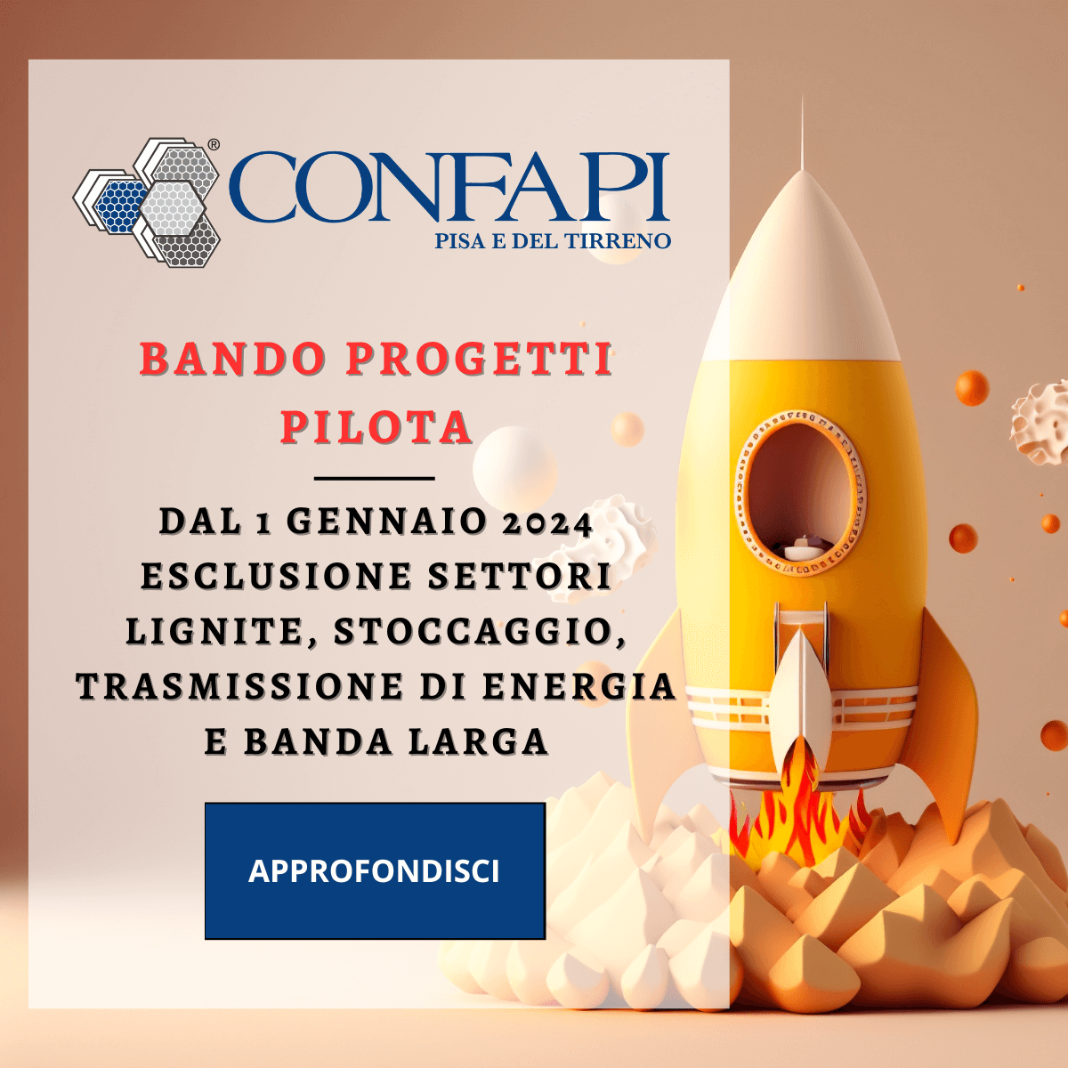 BANDO PROGETTI PILOTA Confapi Pisa e del Tirreno